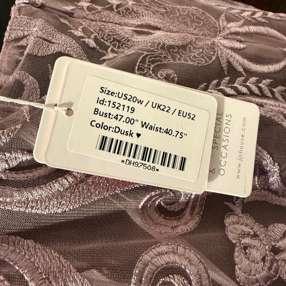 JJ's House Sheath Scoop Neck Lace Mother of the Bride Dress | Size 20W - Picture 8 of 9